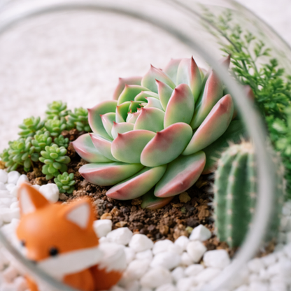 Mini Glass Terrarium with Succulents – Cute Fox Desktop Garden, Aesthetic Home & Office Decor, Unique Gift Idea